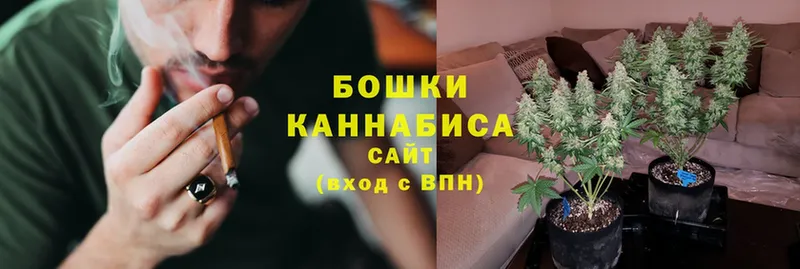 где можно купить наркотик  Западная Двина  Каннабис Ganja 